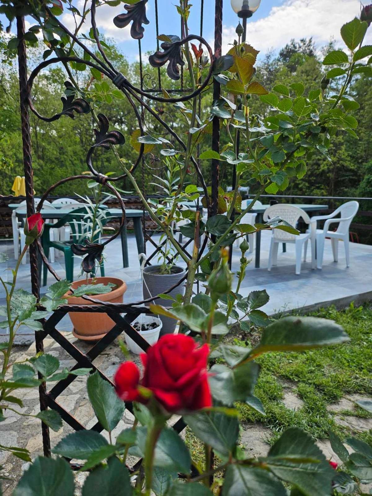Orehite-Family Hotel ,Food & Pool Bozhichen Dış mekan fotoğraf