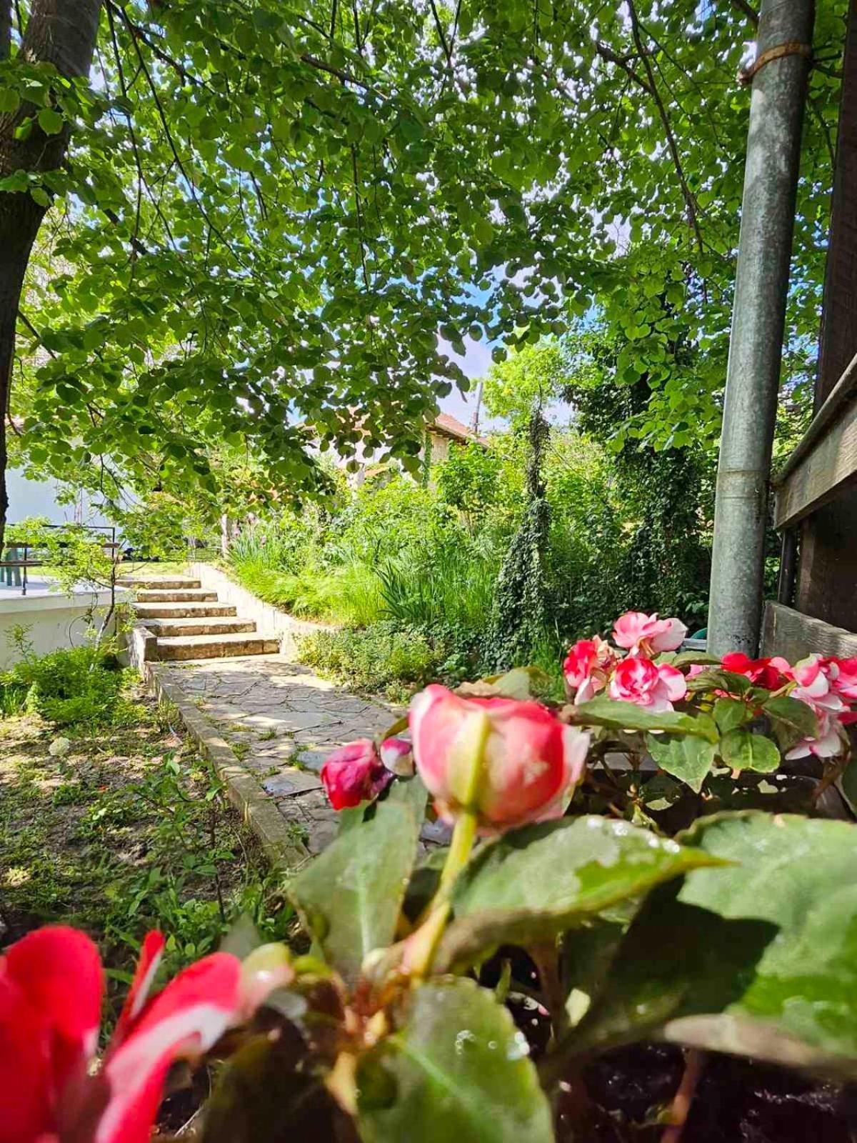 Orehite-Family Hotel ,Food & Pool Bozhichen Dış mekan fotoğraf
