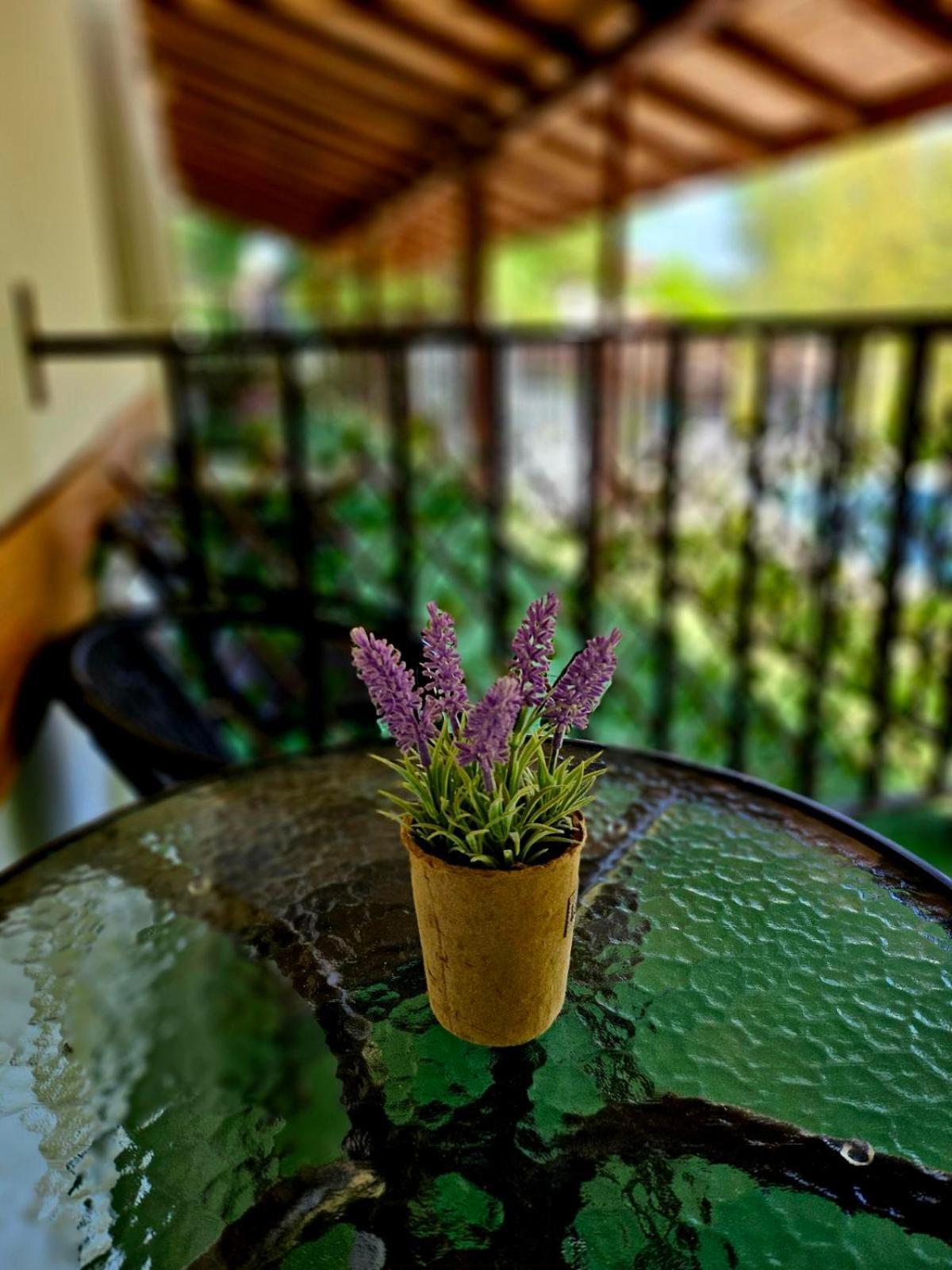 Orehite-Family Hotel ,Food & Pool Bozhichen Dış mekan fotoğraf